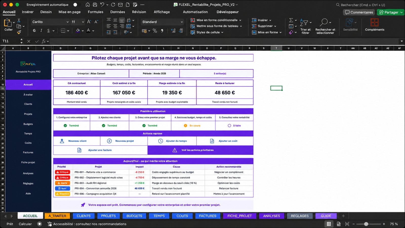Onglet Accueil du fichier FLEXEL Rentabilité Projets PRO, ouvert dans Microsoft Excel
